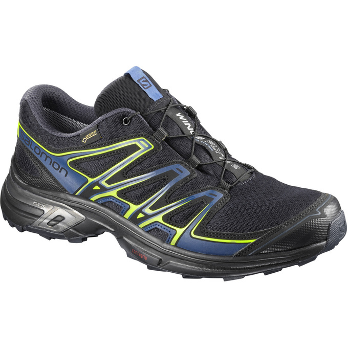 Chaussures De Trail Running Salomon Homme Noir - Salomon WINGS FLYTE 2 GTX® - France (0691-HBSNM)